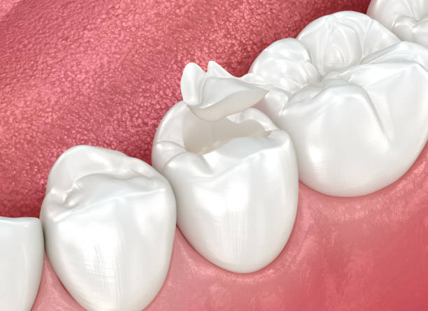 Our Range of Dental Services in Alamosa East, CO